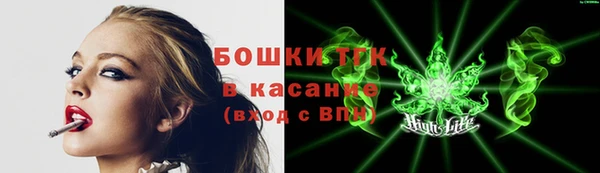 прущие грибы Зеленодольск
