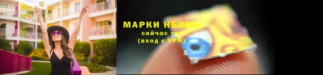хмурый Зеленокумск
