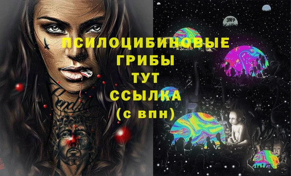 хмурый Зеленокумск